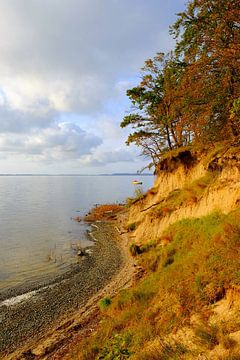 Traumhafte Boddenküste Rügens von Ostsee Bilder
