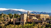 Panorama Stad Kasteel van de Moren Alhambra in Granada Spanje met Sneeuw van de Sierra Nevada van Dieter Walther thumbnail