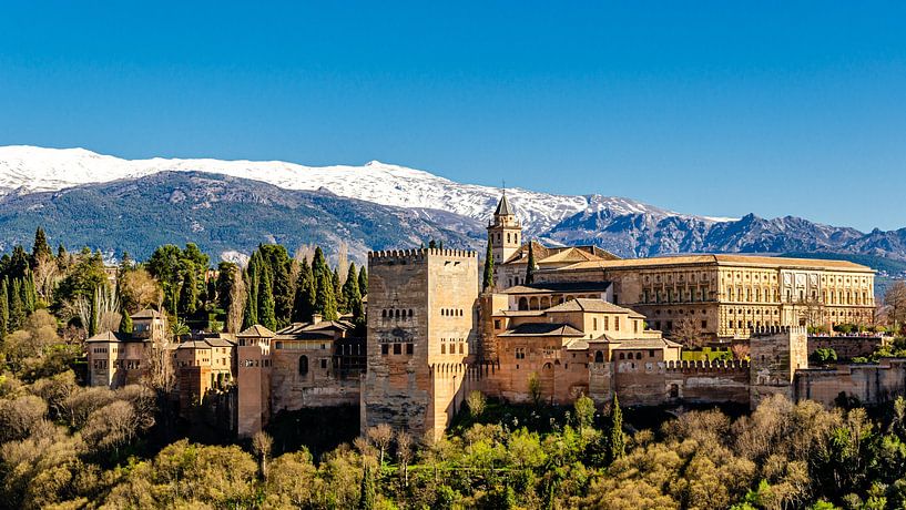 Panorama Stad Kasteel van de Moren Alhambra in Granada Spanje met Sneeuw van de Sierra Nevada van Dieter Walther