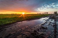 sunset over a wet dirt road