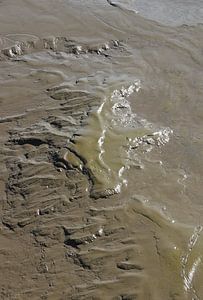 Marée basse &amp ; Marée haute