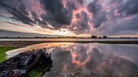 Reflections