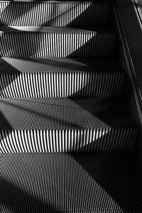 Black Lines I