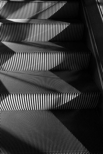 Black Lines I van Ilse Leijtens