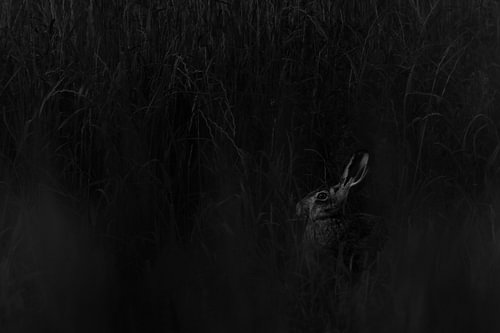 Noticing