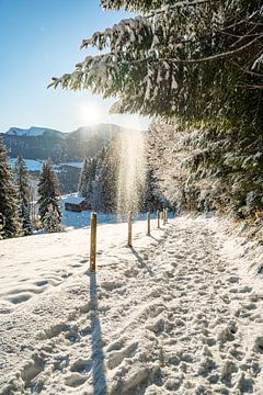 Winteruitzicht op de Hochgrat in de ochtend van Leo Schindzielorz