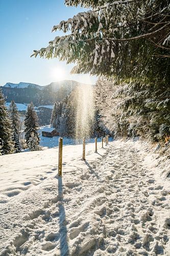 Winteruitzicht op de Hochgrat in de ochtend