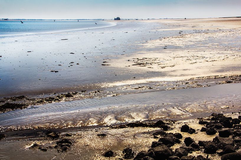 GOLDENES LICHT von natascha verbij