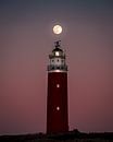 Une pleine lune au-dessus du phare de Texel II | Un voyage à travers les Wadden de Texel par Roos Maryne - Natuur fotografie Aperçu