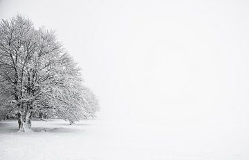 "Baken in de sneeuw" in de Vogezen van Kaj Hendriks