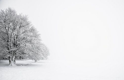 "Beacon in the snow" in the Vosges