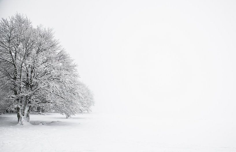 &quot;Baken in de sneeuw&quot; in de Vogezen van Kaj Hendriks