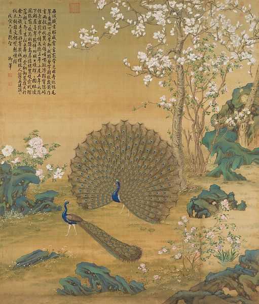 Peacock spreads its tail, Giuseppe Castiglione by Creative Masters Old Masters