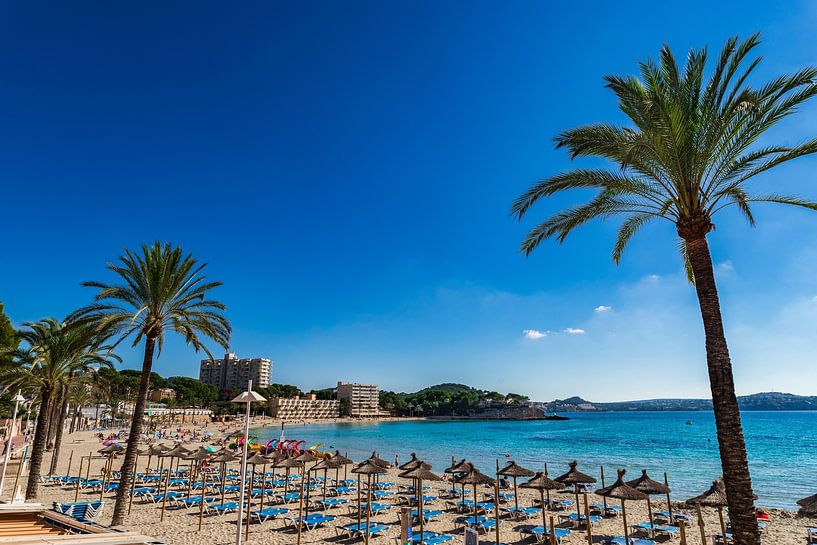 Belle plage de sable avec des palmiers sur la côte de Peguera par Alex Winter