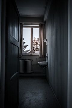 Surrealistische foto van een giraffe die door een venster kijkt