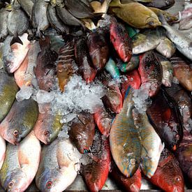 bunte Fische Thailand van Pünktchenpünktchen Kommastrich