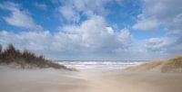 Treibender Sand! von Arjan van Duijvenboden Miniaturansicht