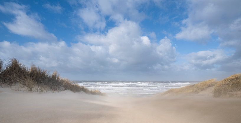 Treibender Sand! von Arjan van Duijvenboden