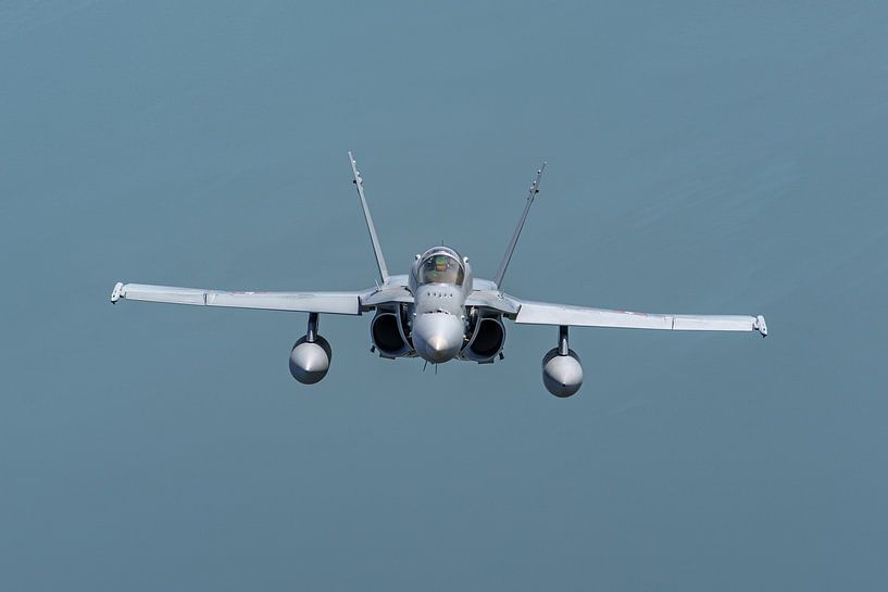 Le McDonnell Douglas F/A-18C Hornet suisse. par Jaap van den Berg