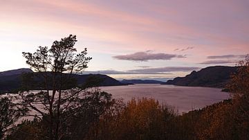 Roze zonsondergang bij het Tingvollfjorden in Noorwegen van Aagje de Jong
