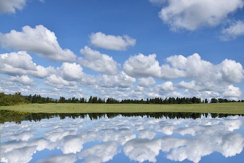 Reflectie op het meer in de zomer