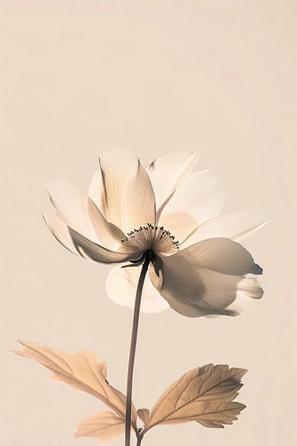 Zachte minimalistische bloem weergave