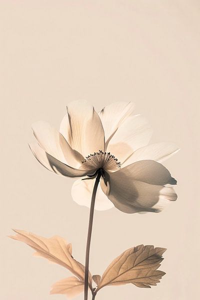 Zarte, minimalistische Blumenauslage von Imperial Art House