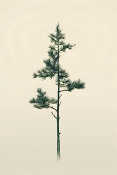Dennenboom van haroulita