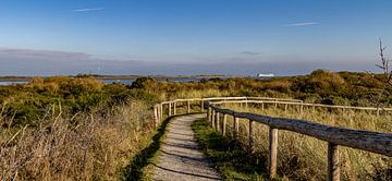 Vue de De Hors texel sur Texel360Fotografie Richard Heerschap