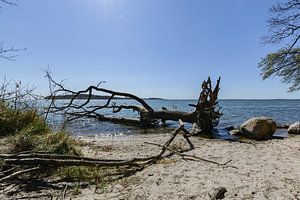 Naturstrand in der Goor, Lauterbach auf Rügen