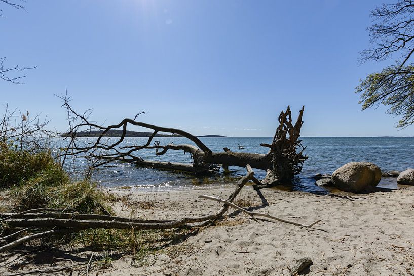 Naturstrand in der Goor, Lauterbach auf Rügen von GH Foto & Artdesign