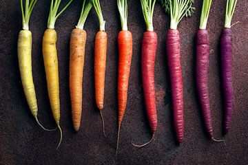 SF 12557588 Fel gekleurde wortels van BeeldigBeeld Food & Lifestyle