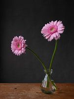 Gerberas in vase