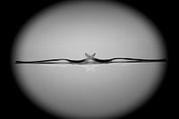 Kitchen Art - Gabeln