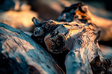 Close-up of weathered wood by Poster Art Shop