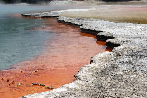 Champagne Pool