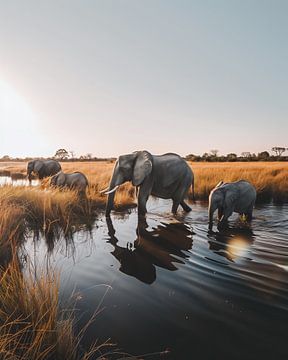 Olifanten in het nationale park van fernlichtsicht