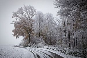 Winter im Eyser Wald