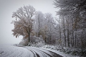 Winter im Eyser Wald von Rob Boon