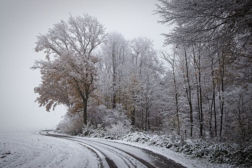 Winter in the Eyserbos by Rob Boon
