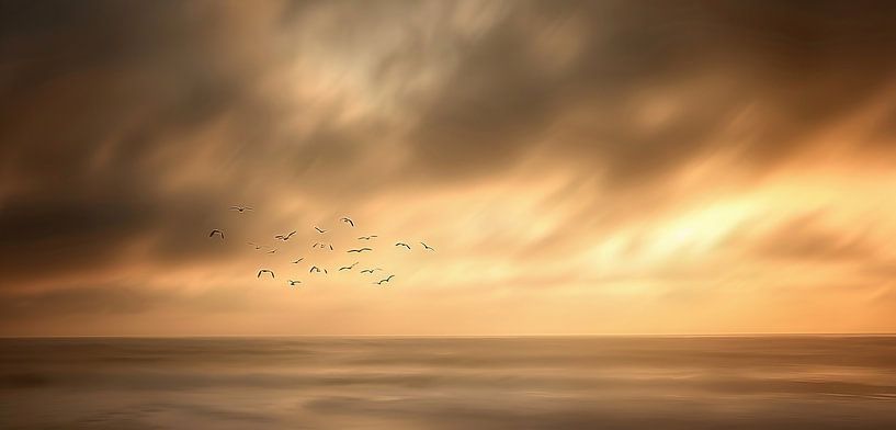 Zeeniveau op goud uur van fernlichtsicht