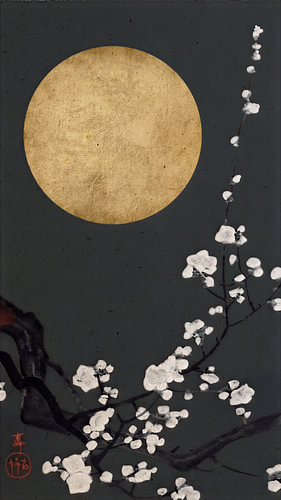 Traditional Japanese print: Blossoms in full bloom under a full moon in Anthracite