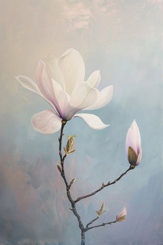 Magnolia's Magnolia bloesem