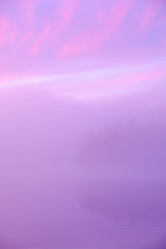Entre la Lumière et le Silence