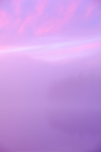 Whispering Mist