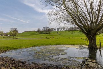 Landschap Limburg van @Unique