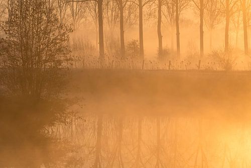 Opkomend mist op een ijzige zonnige morgen aan de Dender