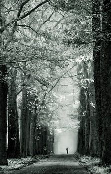 De Vroege Ochtend Blues