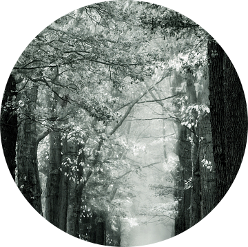 De Vroege Ochtend Blues van Lars van de Goor