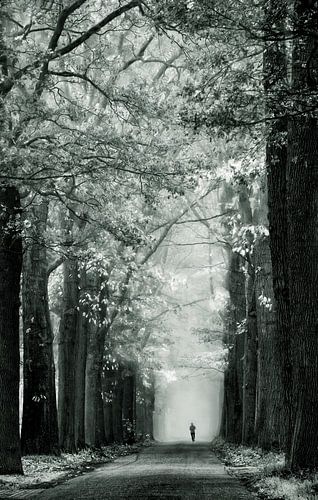 Der frühe Morgen Blues